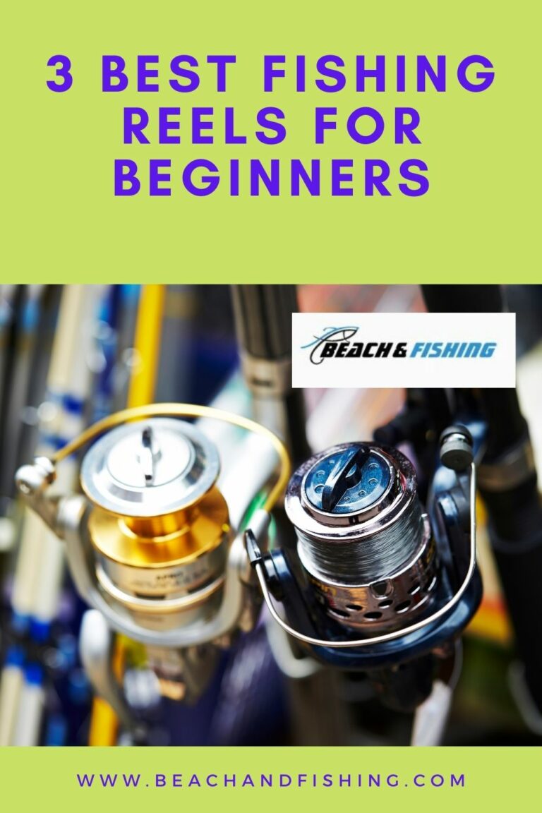best fishing reels for beginners
