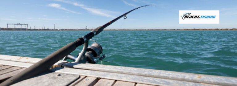 fishing rods for beginners - Header