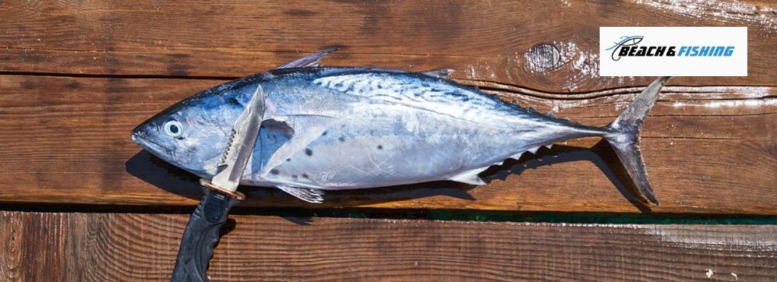 Best Fishing Knives - header
