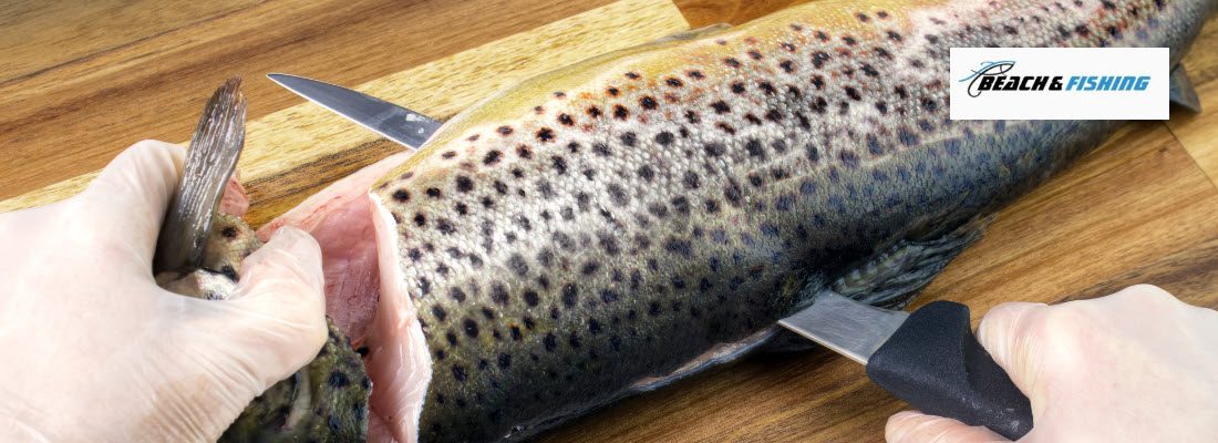 best fish filleting Knives - header