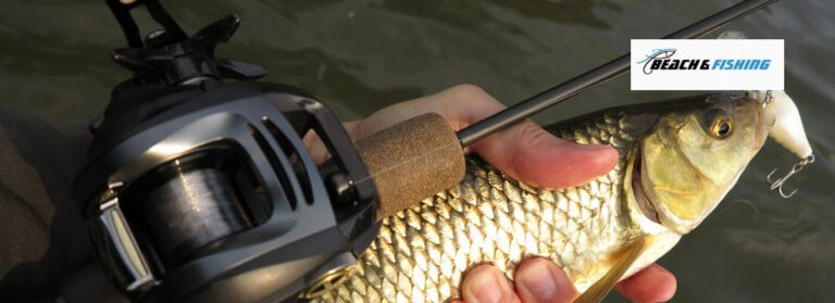 Baitcaster combos for bass fishing - header