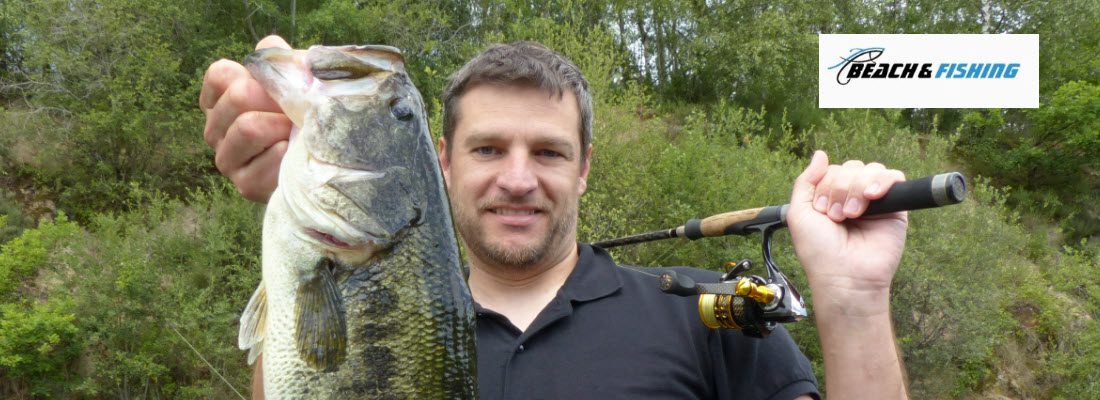 spinning reels for bass fishing - header