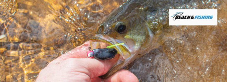 lures for smallmouth bass - header