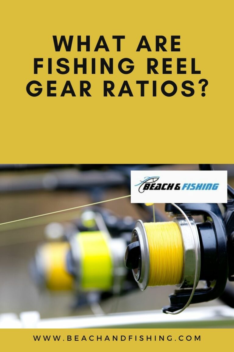 What Are Fishing Reel Gear Ratios?