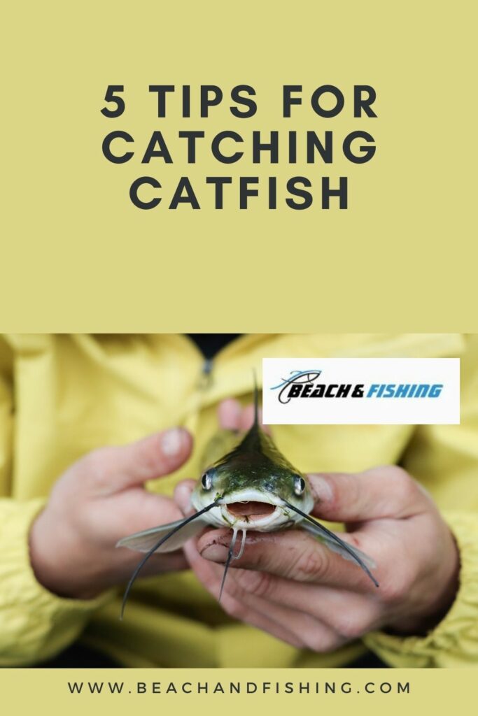 5 tips for catching catfish - Pinterest