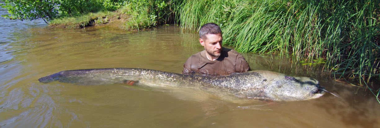 5 tips for catching catfish - man with large catfish
