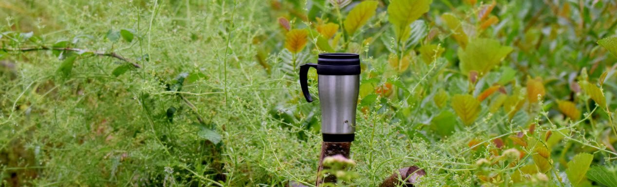 Best Insulated Camping Cups - insulated mug in bush