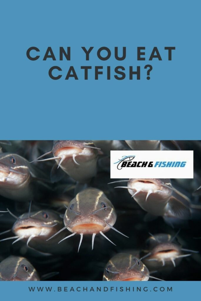 Can you eat Catfish - Pinterest
