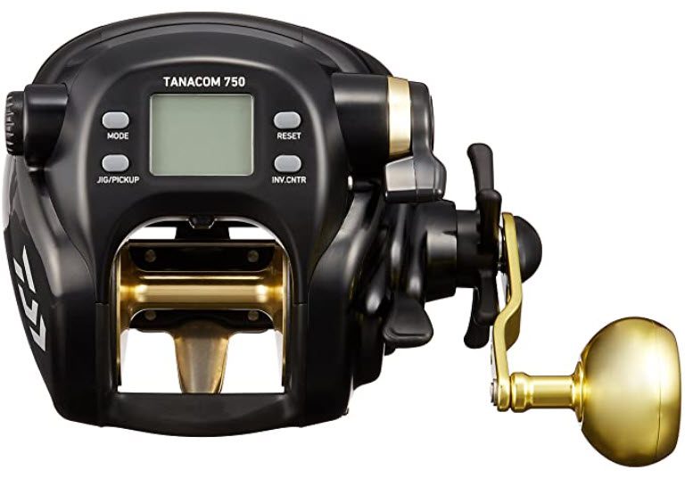 5 Reasons To Use an Electric Fishing Reel - Diawa Tanacom