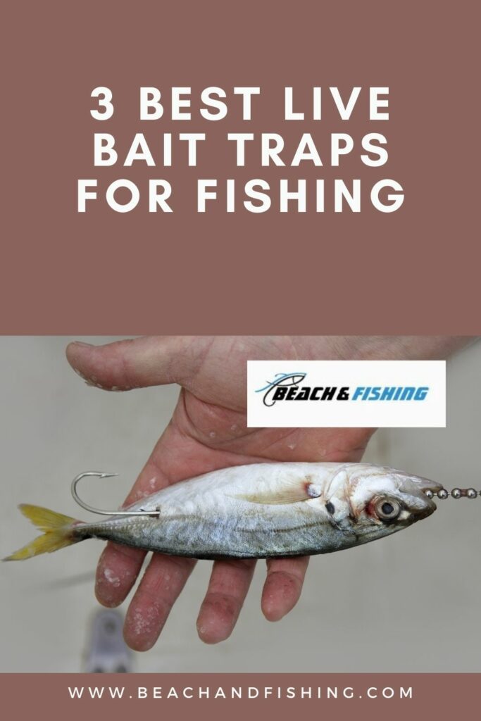 3 Best Live Bait Traps for Fishing - Pinterest