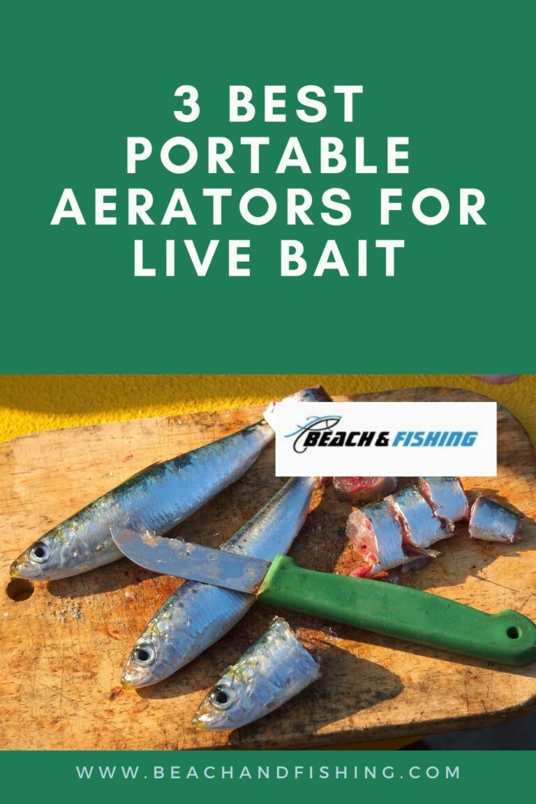 3 Best Portable Aerators For Live Bait In 2024