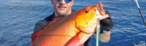 best deep sea fishing lures - fish caught on lure