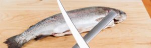 fishing knife sharpeners - knife sharpener with fish