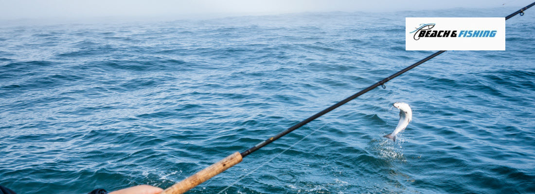 Best Lures for Striped Bass - Header