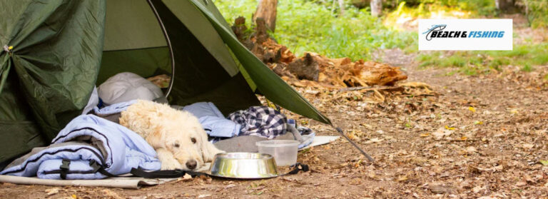 best dog beds for camping - header