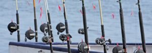 best fishing charters - fishing charter