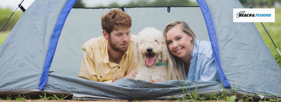 Tips for camping with pets - Header