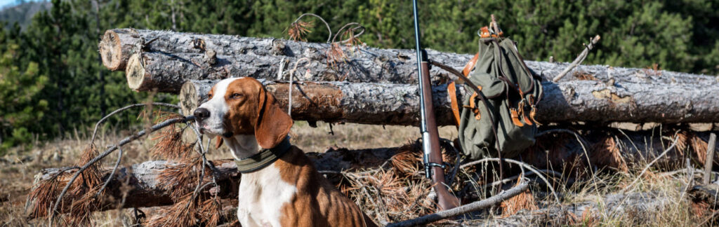 Best Hunting Backpacks - backpack with rifle and dog
