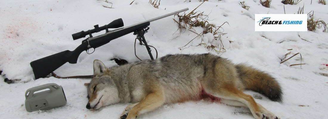 Predator calls for hunting - header