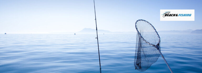 best landing nets for deep sea - header