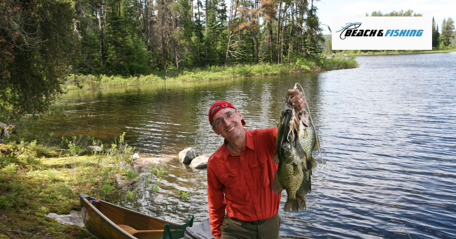 4 Best Live Bait Options For Crappie To Snap At In 2023