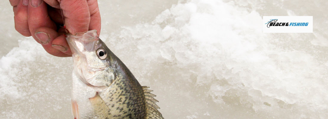 tips for catching crappie - header