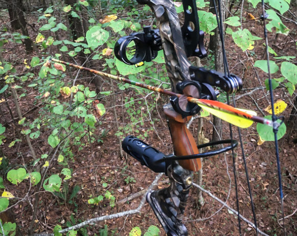 Hunting Bow Stabilizers - bow with stabilizer