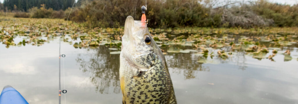 rod and reel combos for crappie - crappie with rod