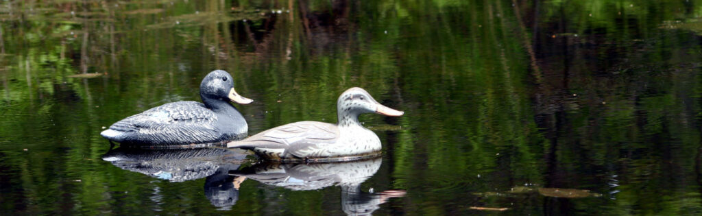 best duck hunting decoys - decoy ducks on water