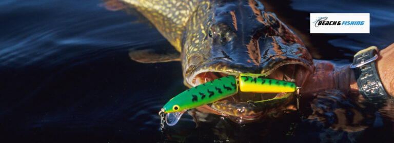 tips for catching northern pike - header