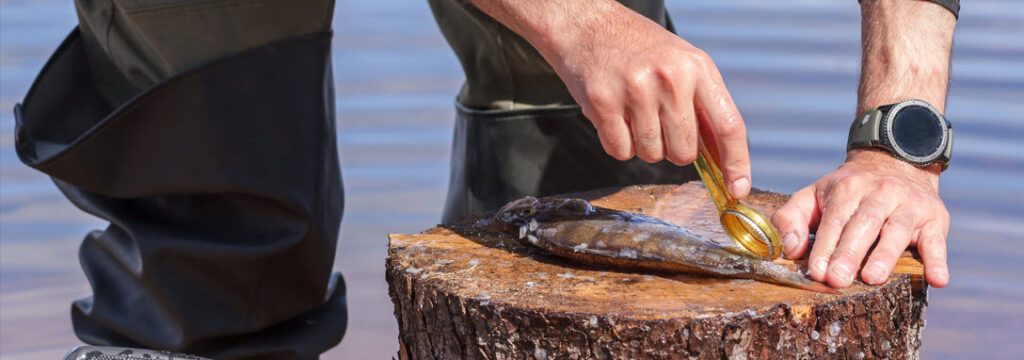 best fish scalers - hand held scaler on log