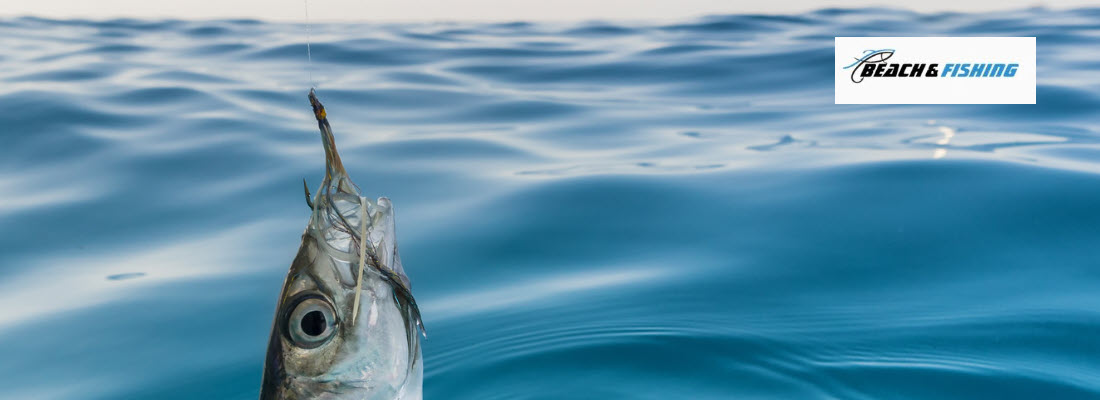 Choose The Right Hook Size For Fishing - header