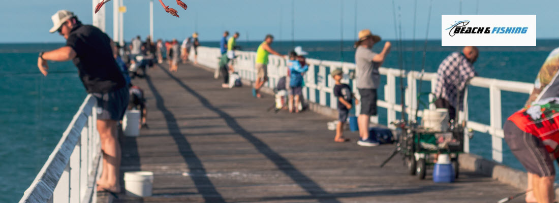 Fishing Carts For Pier Fishing - header
