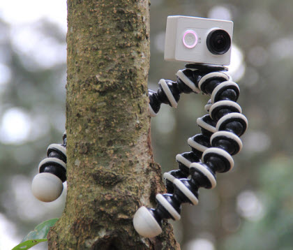 best sports camera tripods - tripod wrapped to tree