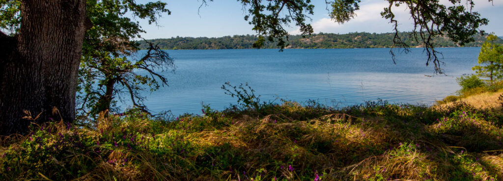 best campsites in Alaska - Quartz Lake State Recreation Area