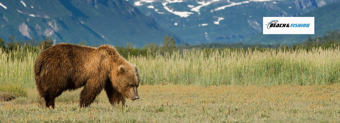 best campsites in Alaska - header
