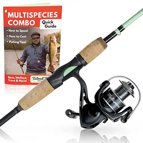 Tailored Tackle Universal Multispecies Rod and Reel Combo Fishing Pole | Freshwater & Inshore Saltwater | Poles 6 Ft 6 in Rods Medium Fast Action | Spinning Reels 7BB | Combos L & R Handed