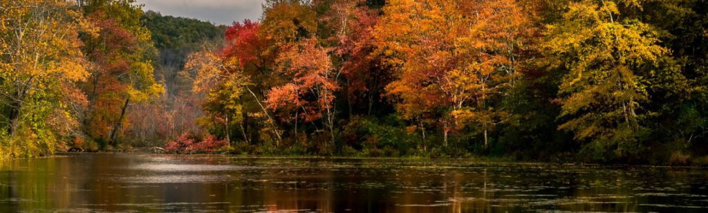 best campsites in Connecticut - Lake Waramaug State Park